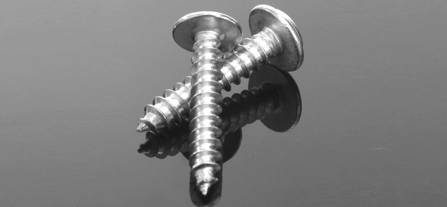 Nickel Alloy 200 Screws