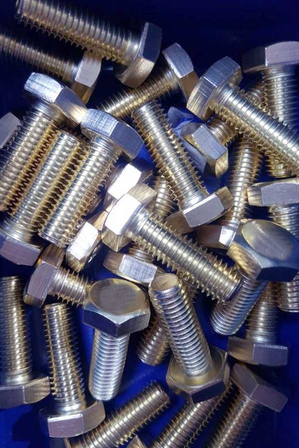 Stainless Steel Bolts