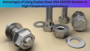Duplex Steel UNS S32205 Washers